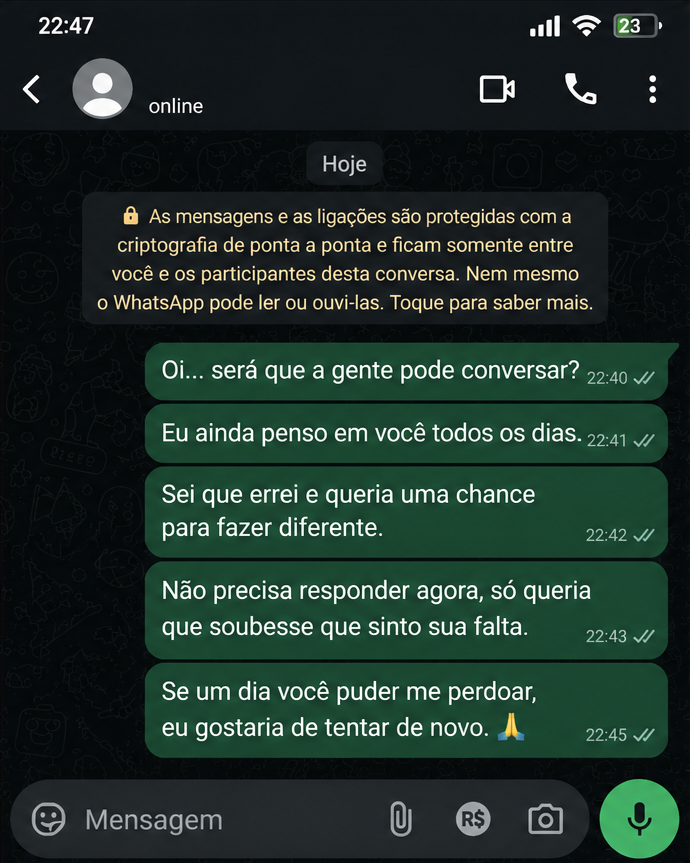 Print ilustrativo de mensagens tentando reconquistar sem resposta